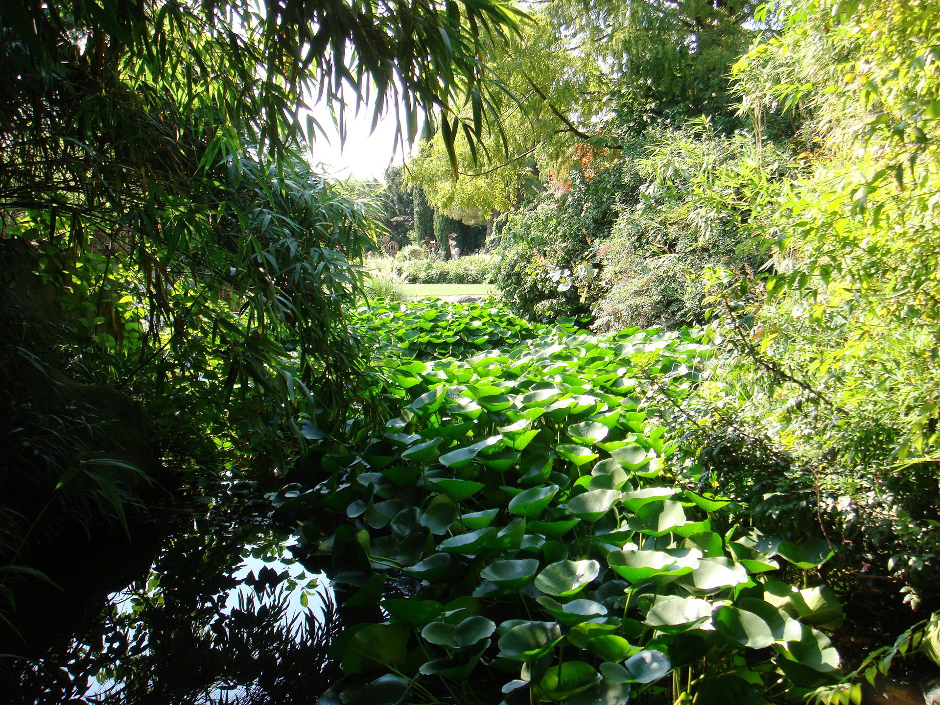 Giardino delle ninfee giardino gaudente la sede paghera Parco delle ninfee