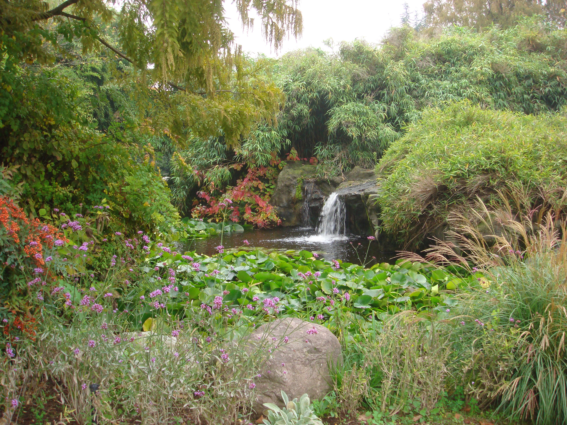Giardino delle ninfee giardino gaudente la sede paghera Parco delle ninfee