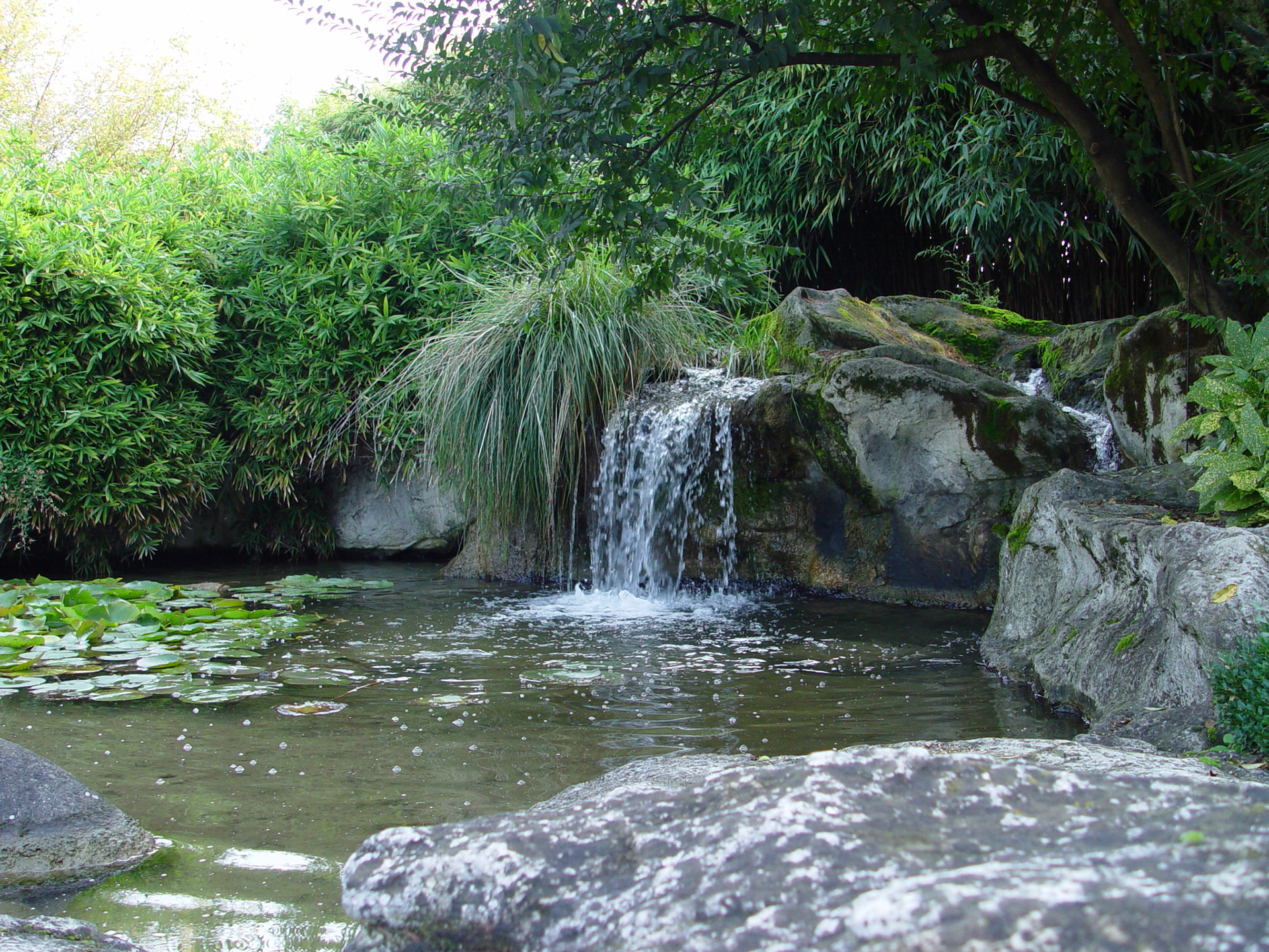 Giardino delle ninfee giardino gaudente la sede paghera Parco delle ninfee