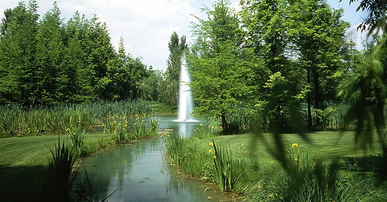 Garden park of the estate St. Apollonio - فضاهای عمومی و شهربازی ها