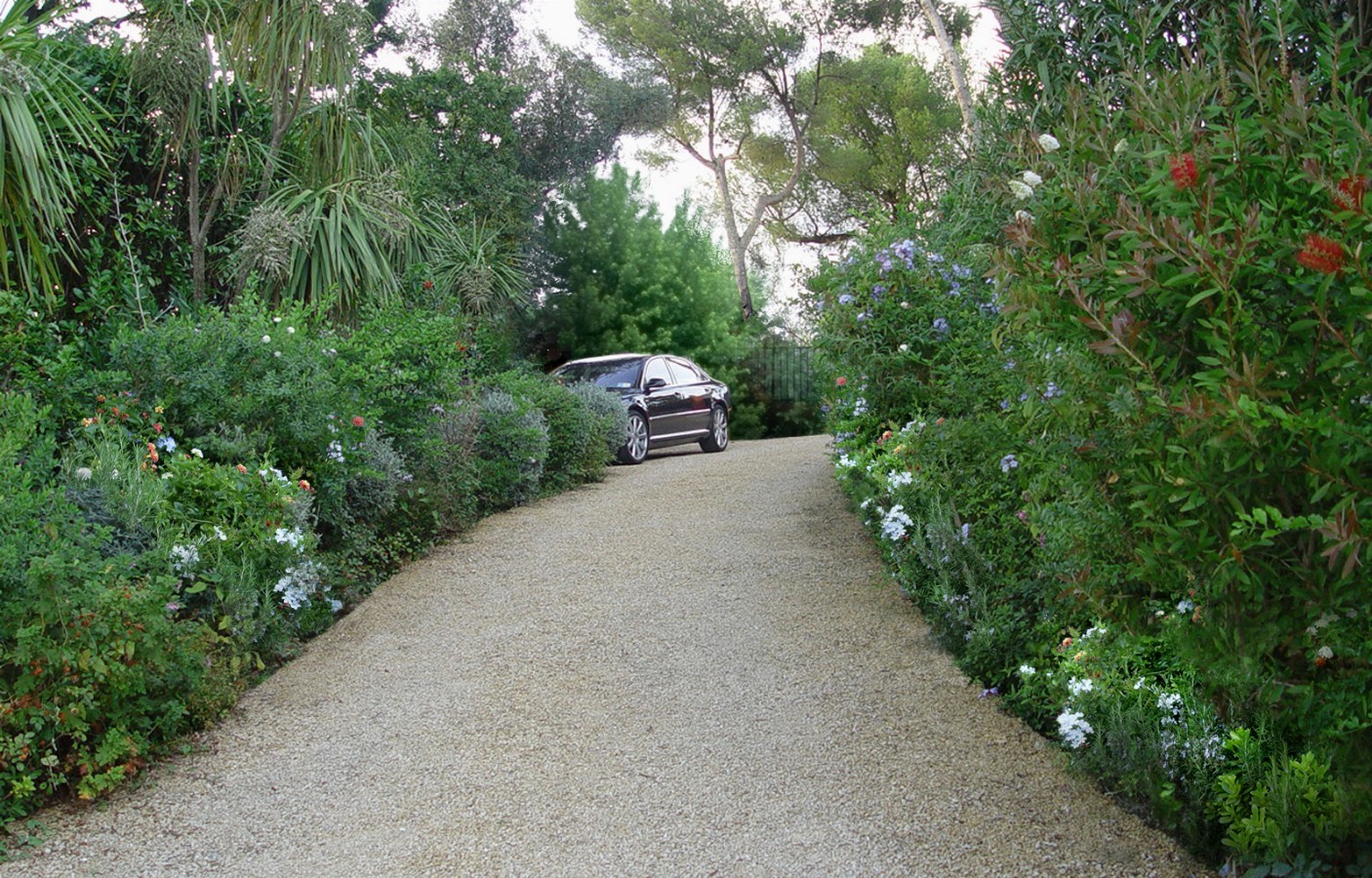 Mediterranean charm - Gardens